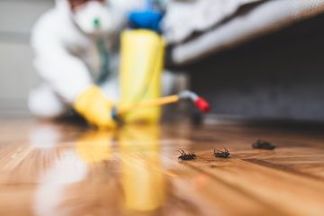 Cockroach Extermination in Northern Virginia by Hughes Termite & Pest Control