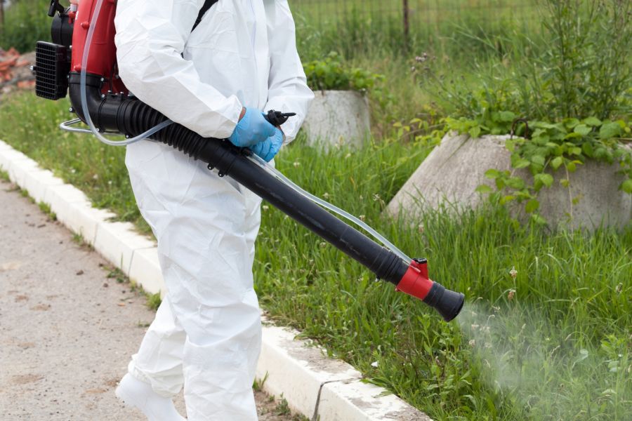 Mosquito Control by Hughes Termite & Pest Control