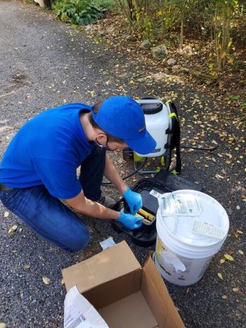 Rat & Mice Extermination by Hughes Termite & Pest Control
