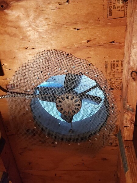 Attic exhaust fan covered with wire mesh to prevent pests from entering the vent opening